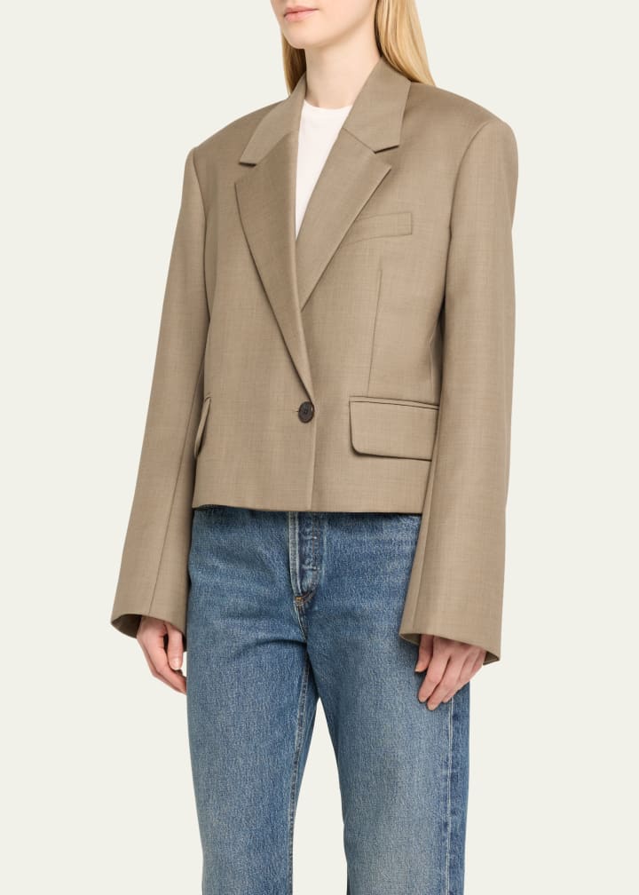 Agolde Callie Cropped Blazer